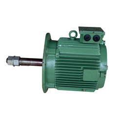Cooling Tower Induction Motors